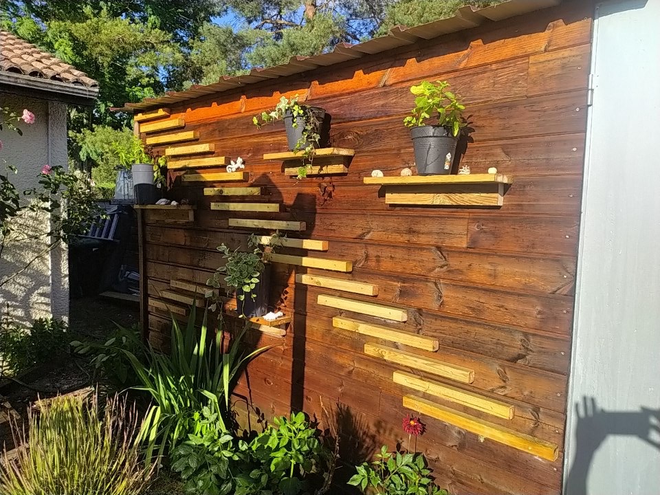 Cloture en bois